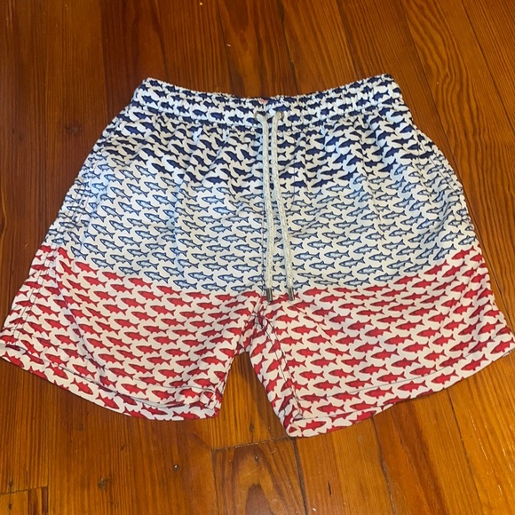 Fish Swim Trunks - Picture 1 of 3